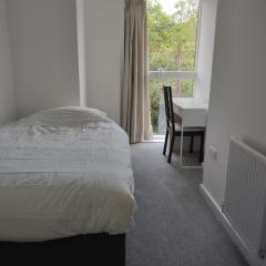 Modern flat shared with host, park view in Clapton