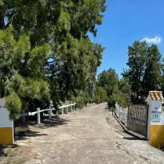 Cortijo el Morisco.