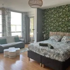 Studio tropical baie des citrons