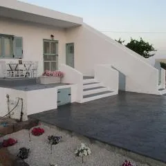 House in vineyard
