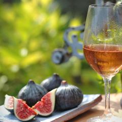 Füge Apartman Sopron