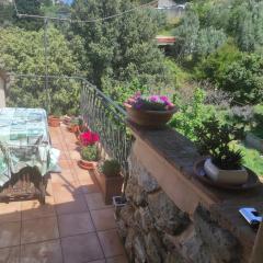 Casa dei nonni 57021