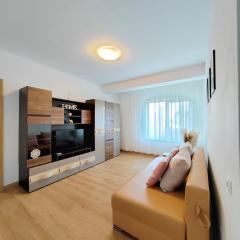 Apartament Central 3