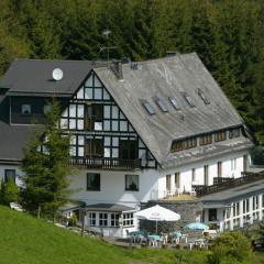 Exclusive group house in Winterberg in the forest