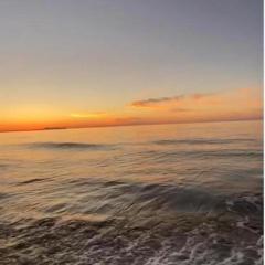 Sea Harmony