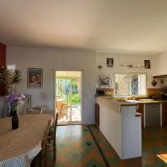 La Boissetane, maison provençale avec piscine et jardin, au pied du Luberon