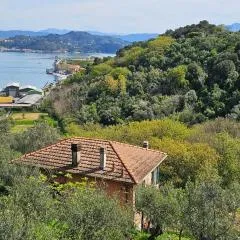 CASA AMELIA
