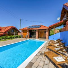 Beautiful Home In Vinogradi Ludbreski With Heated Swimming Pool