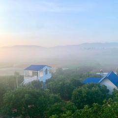 Điểm du lịch canh nông Avocado Farm