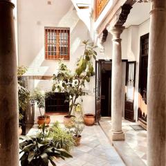 Charming Spacious Albayzin Apartment