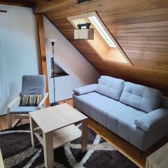 Apartament Pod Orzechem