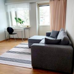 Spacious studio apartment near the center of Joensuu