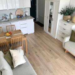 Mini Apartament Mechelinki