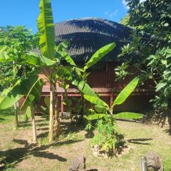 La Pirogue chez l'Happy qui chante