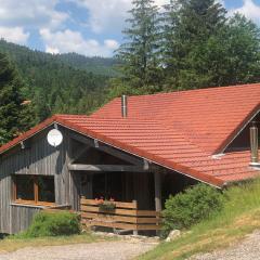 Gîte La Bresse, 5 pièces, 11 personnes - FR-1-589-86