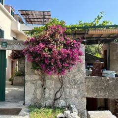 Villa Rina