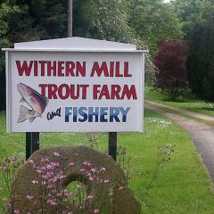 Withern Mill Trout Farm
