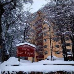 Departamento Nevados de Chillan