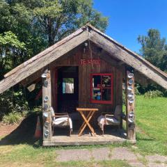 Cabin&geothermal pool by lake Taupo