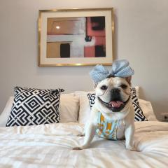 Teera villa chiang mai ทีร่าวิลล่าเชียงใหม่