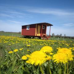 Gula Vagnen på en äng i lantlig miljö