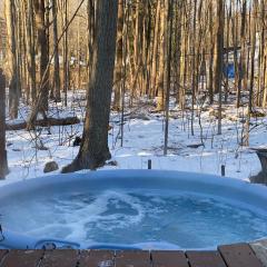 In the Trees- Relaxing getaway with hot tub! 400ft to private Lake Access!