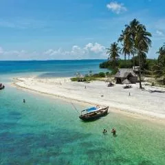 Basecamp Mafía Island