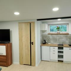 Apartament z ogrodem I