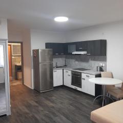 Apartman u lesa