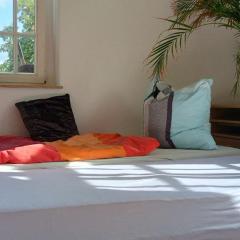 Forrest Apartments in Freiberg Min stay 2 nights Max Number of Guest 1 Aprt 1