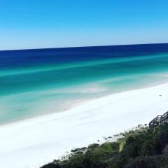 The Blue Seahorse on 30A