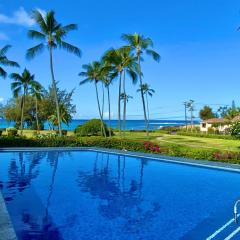 Manualoha 901 Minutes to Poipu