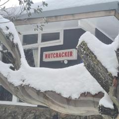 Nutcracker Ski Club