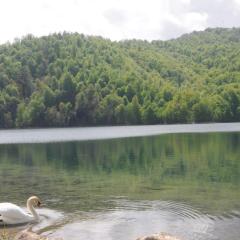 Goygol Lake Resort