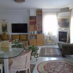 FOTINI LUXURY APARTMENT