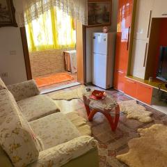 Center Apartment Berat
