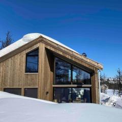 Lakeview Mountain Cabin