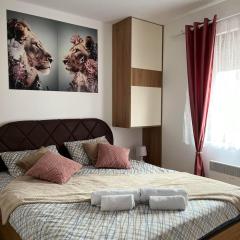 Apartman Akiluz & SPA Zlatibor