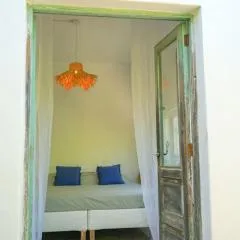 The Tortuga Banana House