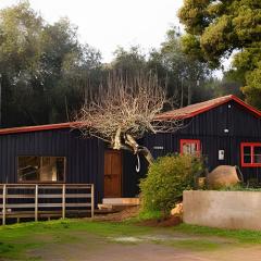 Acogedora casa en la costa de Pelluhue