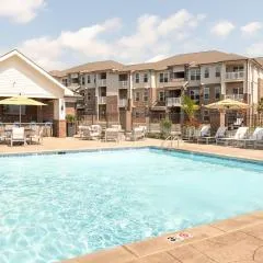 Overlook 2302 Luxe Living in Knoxville!