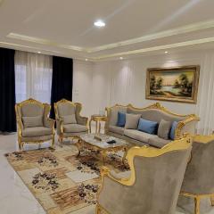 Luxury apartments Mohandiseen 403