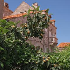 Old Town Green Oasis House