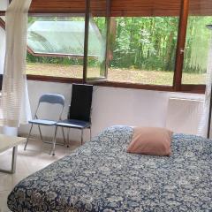 Magnifique Studio du Chateau VLP