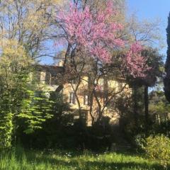 Maison de charme dans les collines niçoises