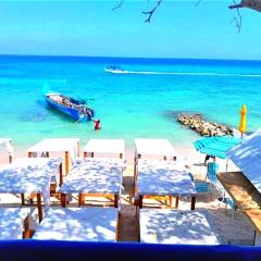 oasis blue playa blanca
