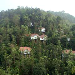 Peter's Coffee Creek Wayanad Pool Resort and Spa
