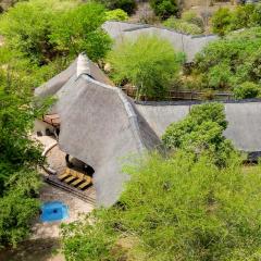 Meerkat Manor @ Zebula