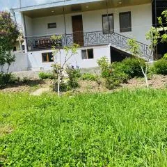 Syune House