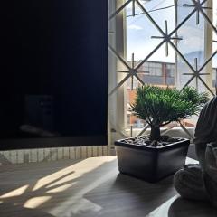 Habitación 1 calle 67